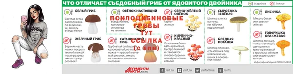 спиды Алексин