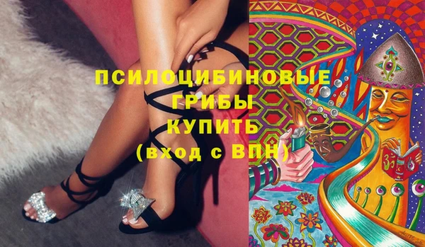 шишки Абинск