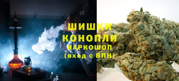 шишки Абинск