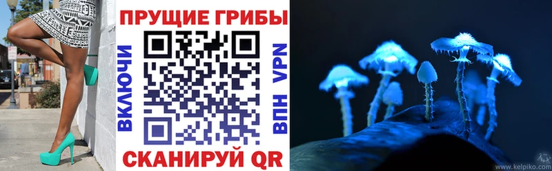 Галлюциногенные грибы Psilocybe  kraken сайт  Нолинск 